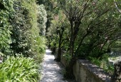 https://gardenpanorama.cz/wp-content/uploads/Villa_Cipressi_img_0247_003-170x115.jpg