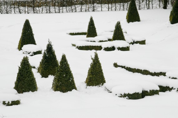 Zahrady v zimě