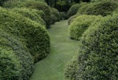 https://gardenpanorama.cz/wp-content/uploads/villa_carlotta_img_9900_014-170x115.jpg