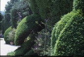 https://gardenpanorama.cz/wp-content/uploads/villa_garzoni_sken344_013-170x115.jpg