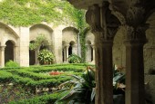 https://gardenpanorama.cz/wp-content/uploads/Saint_Paul_de_Mausole_IMG_7273_002-170x115.jpg