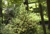 https://gardenpanorama.cz/wp-content/uploads/giardino_giusti17-170x115.jpg