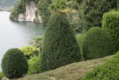 https://gardenpanorama.cz/wp-content/uploads/villa_balbianello_img_9766_046-170x115.jpg