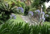 https://gardenpanorama.cz/wp-content/uploads/villa_rocca_img_0349_011-170x115.jpg